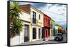 ¡Viva Mexico! Collection - Colorful Facades and Black VW Beetle Car-Philippe Hugonnard-Framed Stretched Canvas