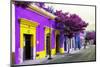 ¡Viva Mexico! Collection - Colorful Mexican Street III - Oaxaca-Philippe Hugonnard-Mounted Photographic Print