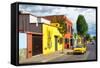 ¡Viva Mexico! Collection - Colorful Mexican Street - Oaxaca-Philippe Hugonnard-Framed Stretched Canvas