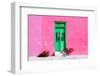 ¡Viva Mexico! Collection - Colorful Street Wall III-Philippe Hugonnard-Framed Photographic Print