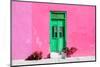 ¡Viva Mexico! Collection - Colorful Street Wall III-Philippe Hugonnard-Mounted Photographic Print