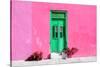 ¡Viva Mexico! Collection - Colorful Street Wall III-Philippe Hugonnard-Stretched Canvas