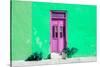 ¡Viva Mexico! Collection - Colorful Street Wall VI-Philippe Hugonnard-Stretched Canvas