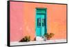 ¡Viva Mexico! Collection - Colorful Street Wall VIII-Philippe Hugonnard-Framed Stretched Canvas