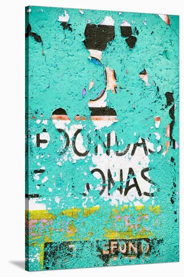 ¡Viva Mexico! Collection - Coral Green Street Wall Art-Philippe Hugonnard-Stretched Canvas