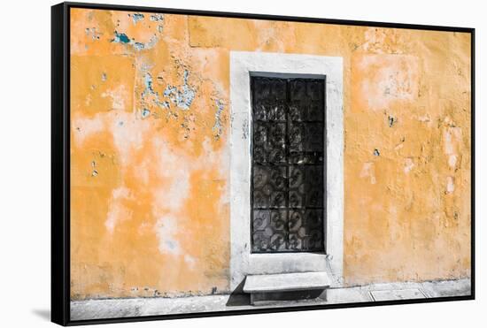 ¡Viva Mexico! Collection - Coral Wall of Silence-Philippe Hugonnard-Framed Stretched Canvas