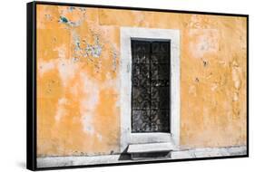 ¡Viva Mexico! Collection - Coral Wall of Silence-Philippe Hugonnard-Framed Stretched Canvas