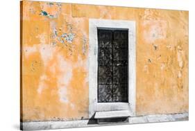 ¡Viva Mexico! Collection - Coral Wall of Silence-Philippe Hugonnard-Stretched Canvas