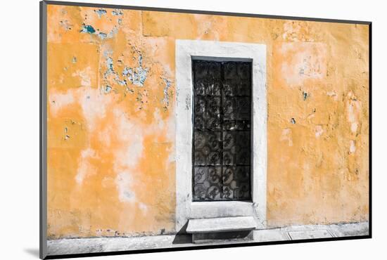 ¡Viva Mexico! Collection - Coral Wall of Silence-Philippe Hugonnard-Mounted Photographic Print
