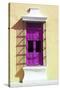 ¡Viva Mexico! Collection - Deep Pink Window and Yellow Wall in Campeche-Philippe Hugonnard-Stretched Canvas