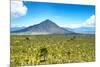 ¡Viva Mexico! Collection - Desert Landscape in Puebla-Philippe Hugonnard-Mounted Photographic Print