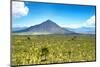 ¡Viva Mexico! Collection - Desert Landscape in Puebla-Philippe Hugonnard-Mounted Photographic Print