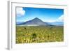 ¡Viva Mexico! Collection - Desert Landscape in Puebla-Philippe Hugonnard-Framed Photographic Print