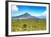 ¡Viva Mexico! Collection - Desert Landscape in Puebla-Philippe Hugonnard-Framed Photographic Print
