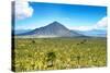 ¡Viva Mexico! Collection - Desert Landscape in Puebla-Philippe Hugonnard-Stretched Canvas