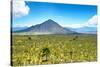 ¡Viva Mexico! Collection - Desert Landscape in Puebla-Philippe Hugonnard-Stretched Canvas