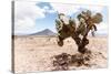 ¡Viva Mexico! Collection - Desert Landscape - Puebla II-Philippe Hugonnard-Stretched Canvas