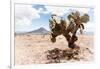 ¡Viva Mexico! Collection - Desert Landscape - Puebla II-Philippe Hugonnard-Framed Photographic Print