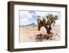 ¡Viva Mexico! Collection - Desert Landscape - Puebla II-Philippe Hugonnard-Framed Photographic Print