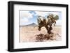 ¡Viva Mexico! Collection - Desert Landscape - Puebla II-Philippe Hugonnard-Framed Photographic Print