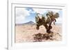 ¡Viva Mexico! Collection - Desert Landscape - Puebla II-Philippe Hugonnard-Framed Photographic Print