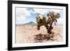 ¡Viva Mexico! Collection - Desert Landscape - Puebla II-Philippe Hugonnard-Framed Photographic Print