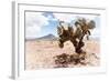 ¡Viva Mexico! Collection - Desert Landscape - Puebla II-Philippe Hugonnard-Framed Photographic Print