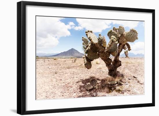 ¡Viva Mexico! Collection - Desert Landscape - Puebla II-Philippe Hugonnard-Framed Photographic Print