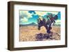 ¡Viva Mexico! Collection - Desert Landscape - Puebla III-Philippe Hugonnard-Framed Photographic Print