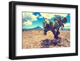 ¡Viva Mexico! Collection - Desert Landscape - Puebla III-Philippe Hugonnard-Framed Photographic Print