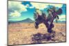 ¡Viva Mexico! Collection - Desert Landscape - Puebla III-Philippe Hugonnard-Mounted Photographic Print