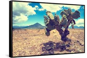 ¡Viva Mexico! Collection - Desert Landscape - Puebla III-Philippe Hugonnard-Framed Stretched Canvas