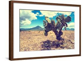 ¡Viva Mexico! Collection - Desert Landscape - Puebla III-Philippe Hugonnard-Framed Photographic Print