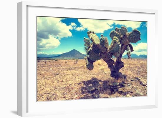 ¡Viva Mexico! Collection - Desert Landscape - Puebla III-Philippe Hugonnard-Framed Photographic Print