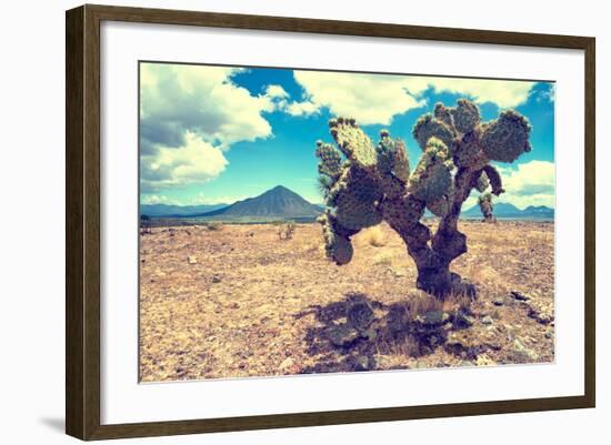 ¡Viva Mexico! Collection - Desert Landscape - Puebla III-Philippe Hugonnard-Framed Photographic Print