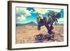 ¡Viva Mexico! Collection - Desert Landscape - Puebla III-Philippe Hugonnard-Framed Photographic Print