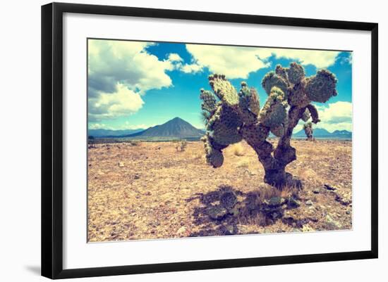 ¡Viva Mexico! Collection - Desert Landscape - Puebla III-Philippe Hugonnard-Framed Photographic Print