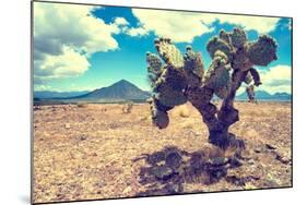 ¡Viva Mexico! Collection - Desert Landscape - Puebla III-Philippe Hugonnard-Mounted Photographic Print