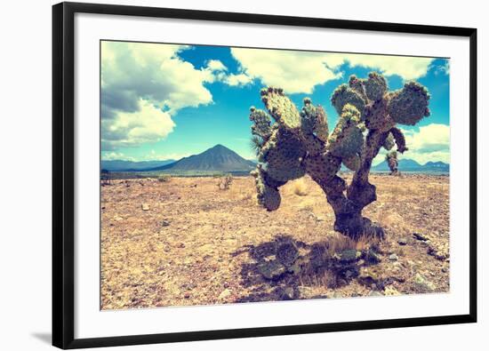 ¡Viva Mexico! Collection - Desert Landscape - Puebla III-Philippe Hugonnard-Framed Photographic Print