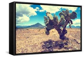 ¡Viva Mexico! Collection - Desert Landscape - Puebla III-Philippe Hugonnard-Framed Stretched Canvas