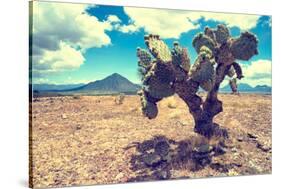 ¡Viva Mexico! Collection - Desert Landscape - Puebla III-Philippe Hugonnard-Stretched Canvas