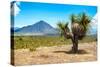 ¡Viva Mexico! Collection - Desert Landscape - Puebla IV-Philippe Hugonnard-Stretched Canvas