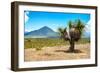 ¡Viva Mexico! Collection - Desert Landscape - Puebla IV-Philippe Hugonnard-Framed Photographic Print