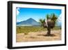 ¡Viva Mexico! Collection - Desert Landscape - Puebla IV-Philippe Hugonnard-Framed Photographic Print