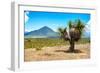 ¡Viva Mexico! Collection - Desert Landscape - Puebla IV-Philippe Hugonnard-Framed Photographic Print