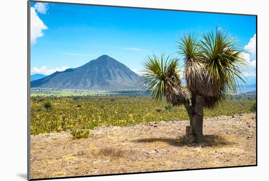 ¡Viva Mexico! Collection - Desert Landscape - Puebla IV-Philippe Hugonnard-Mounted Photographic Print