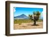 ¡Viva Mexico! Collection - Desert Landscape - Puebla IV-Philippe Hugonnard-Framed Photographic Print