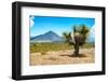 ¡Viva Mexico! Collection - Desert Landscape - Puebla IV-Philippe Hugonnard-Framed Photographic Print