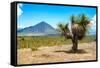 ¡Viva Mexico! Collection - Desert Landscape - Puebla IV-Philippe Hugonnard-Framed Stretched Canvas