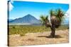 ¡Viva Mexico! Collection - Desert Landscape - Puebla IV-Philippe Hugonnard-Stretched Canvas